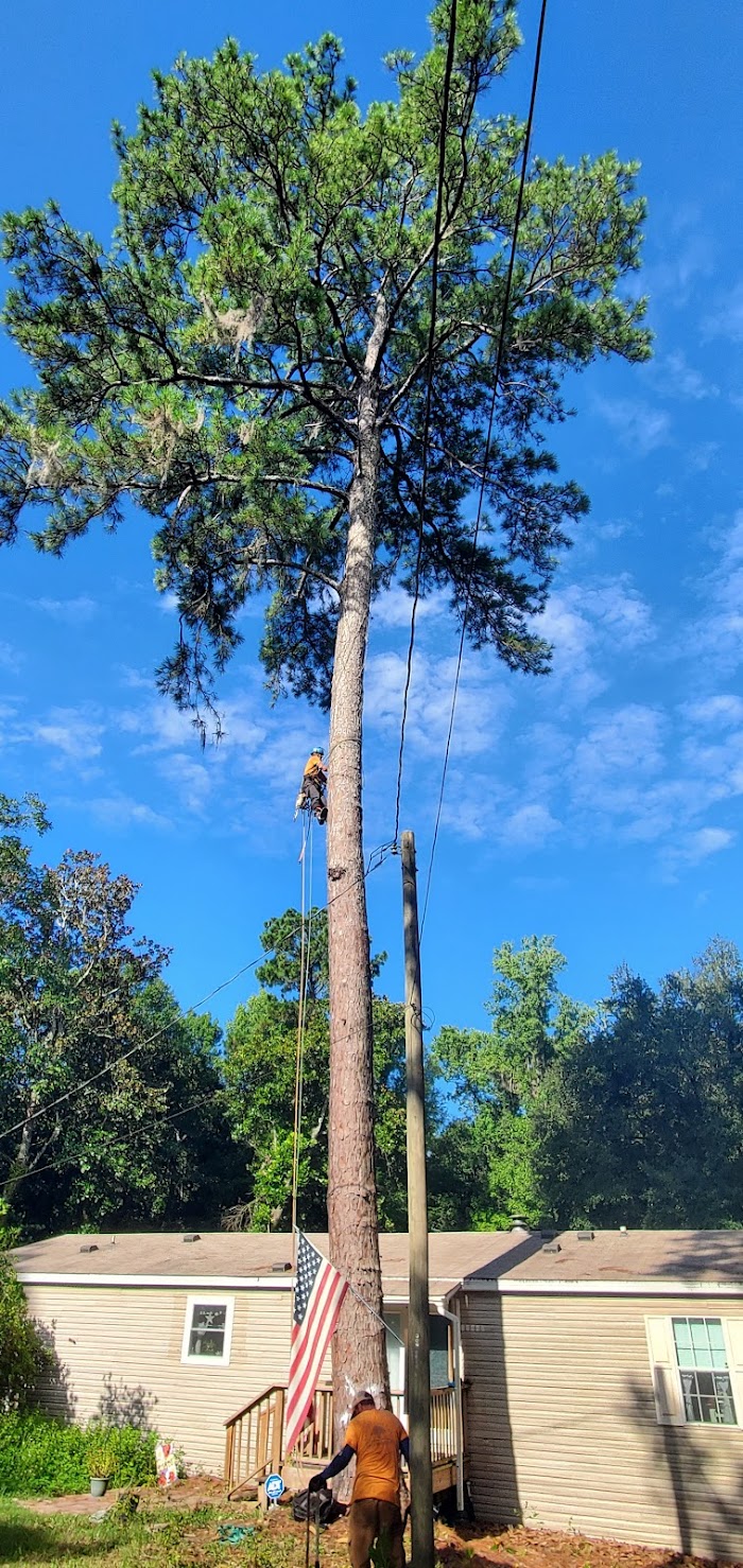 Canopy Tree Care, LLC