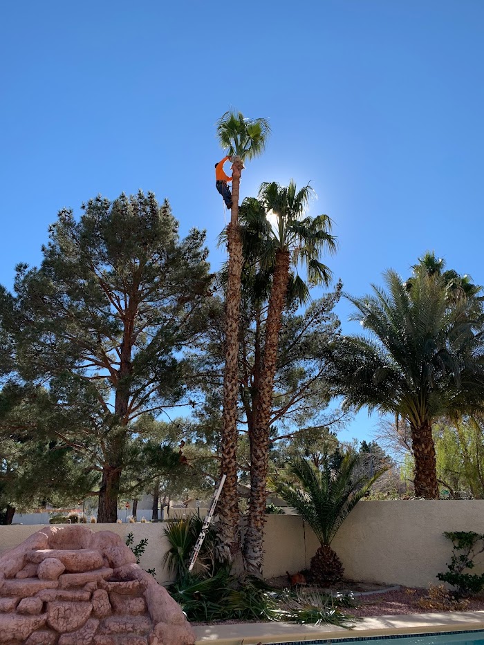 VV Landscaping Company