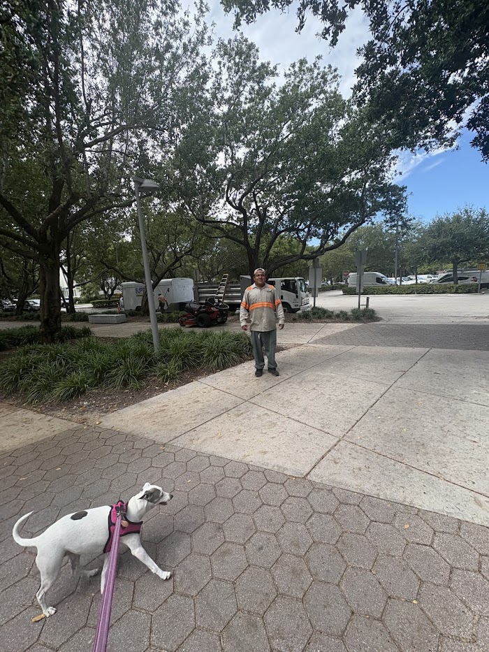 Superior Landscaping & Lawn Service