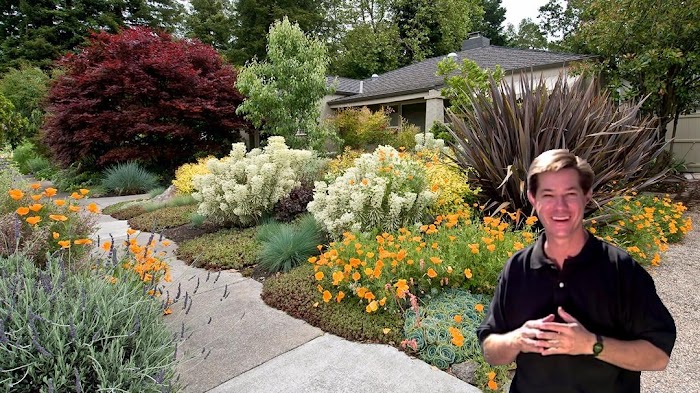 The Designers Landscape