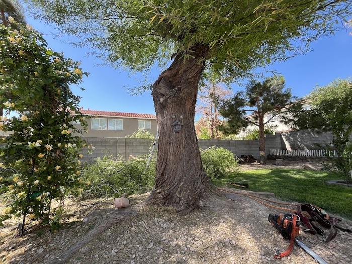Green Man Tree Service