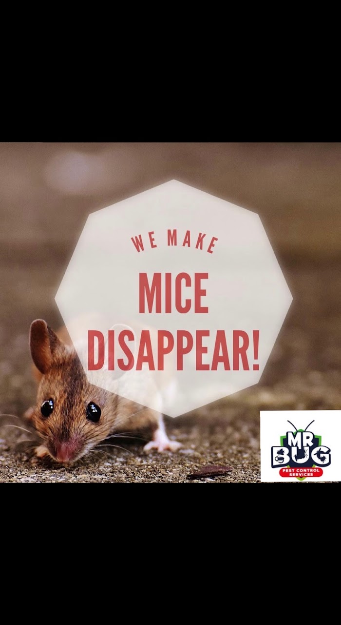 Mr Bug Pest Control