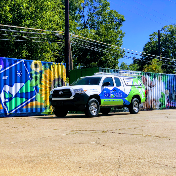 Eco-Safe Pest Control