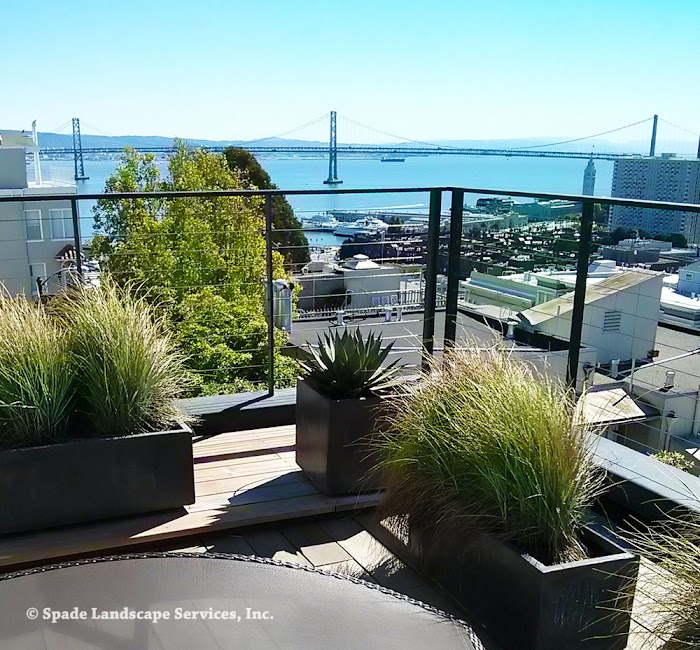 Spade Gardens & Landscaping