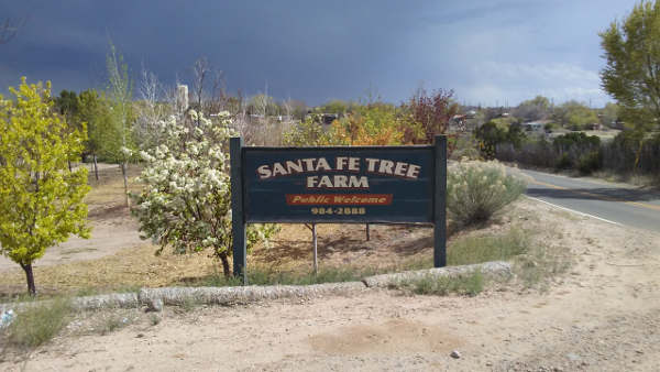 Santa Fe Tree Farm