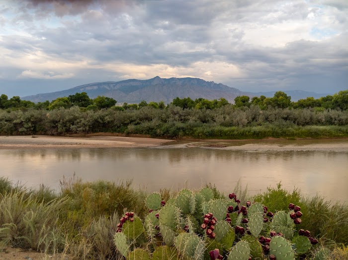 Rio Rancho Bosque Preserve