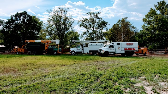 Monkey’s Tree Services LLC