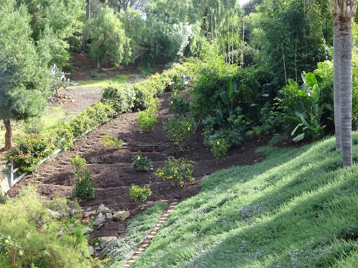 Precision Irrigation Team