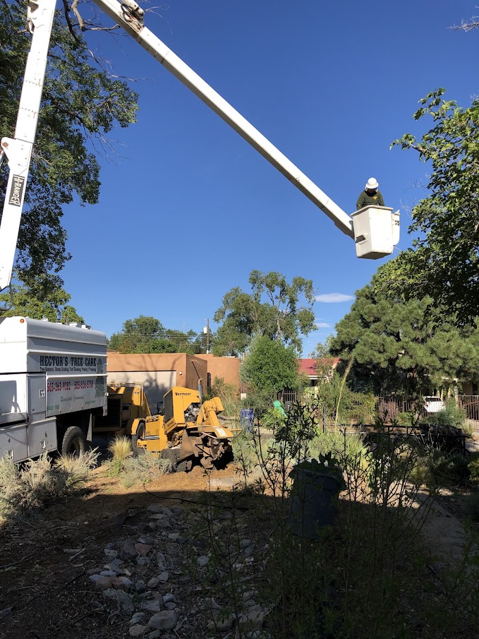 Hector’s Tree Care