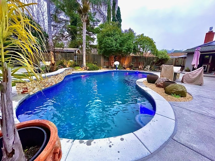 Professional Pool Service