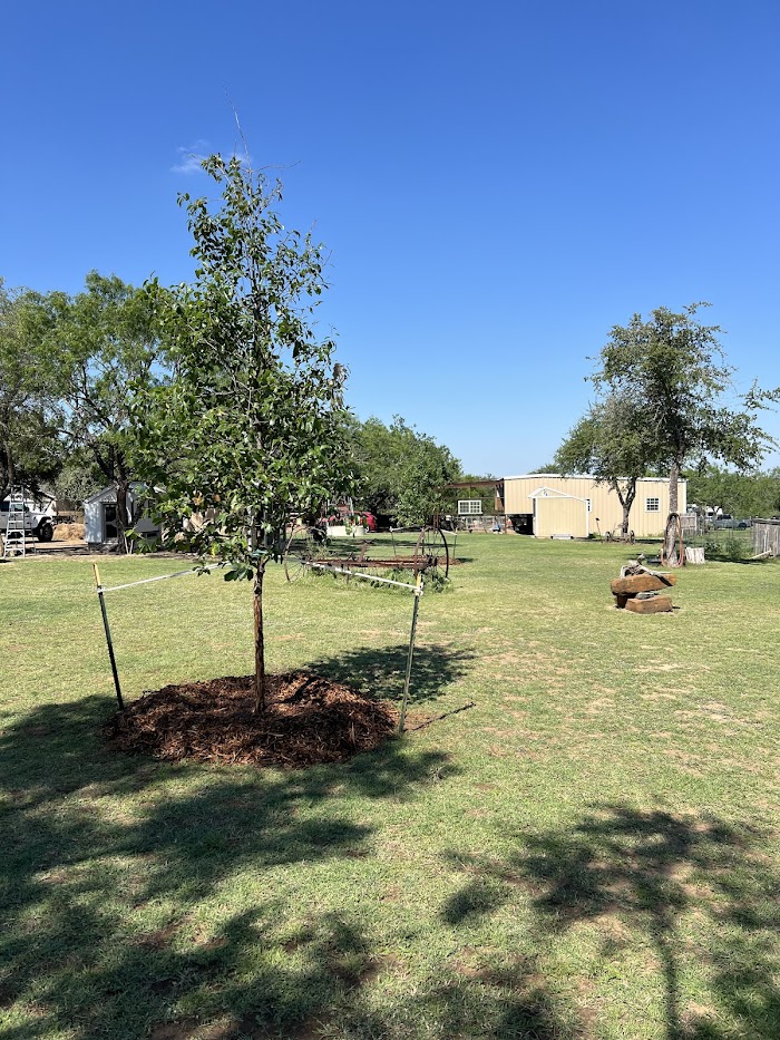 Trust Landscaping Austin