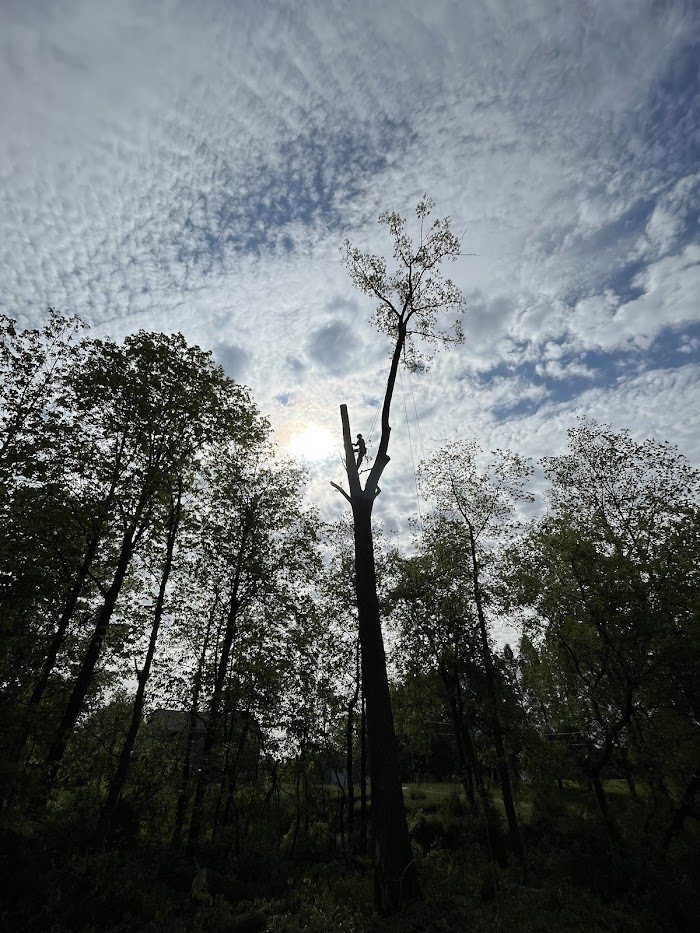 Legend Tree Service LLC