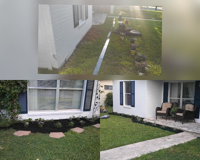 Longoria Lawn and Landscaping