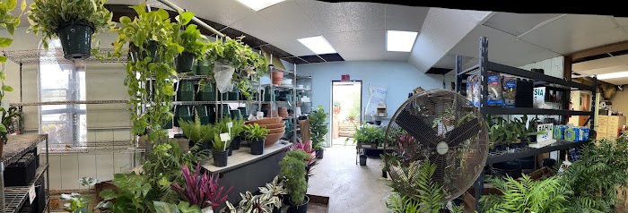 GreenDay Nursery and Landscaping