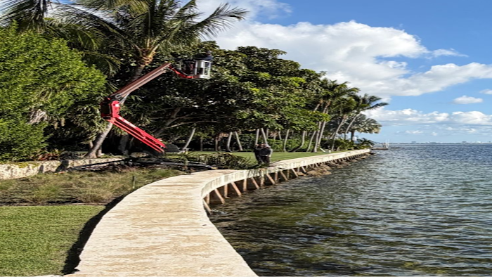 Grove Tree Service & Landscaping