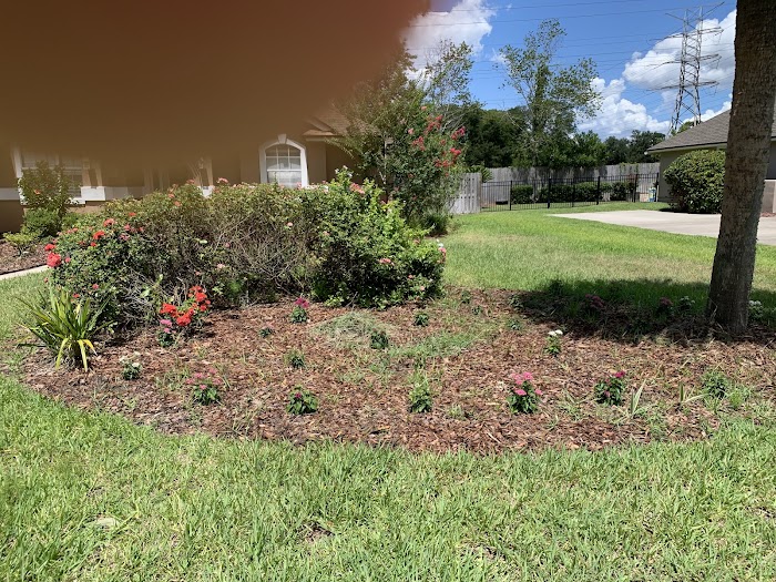 My Jacksonville Landscaper, LLC