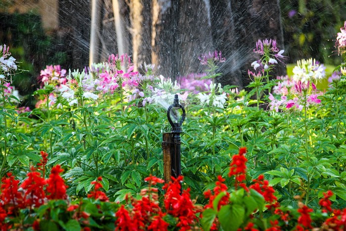 Houston Sprinkler Repair, Drainage, Lighting
