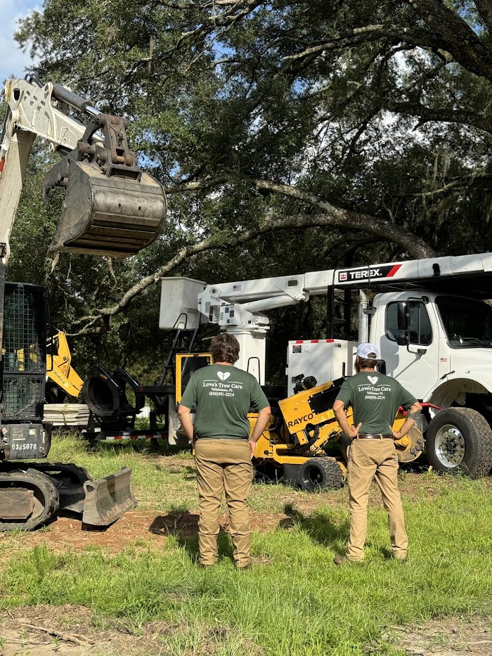 Love’s Tree Care