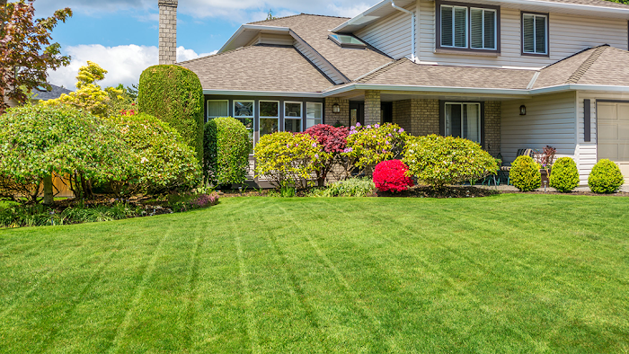 Austin’s Classic Landscaping, Inc.