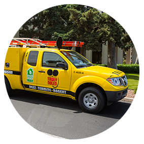 Truly Nolen Pest & Termite Control