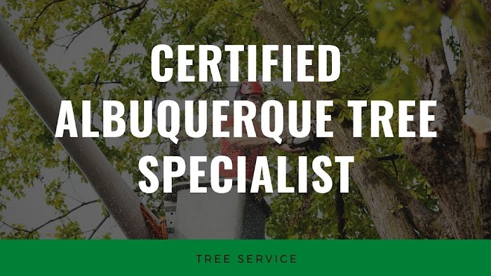 Certified Albuquerque Tree Specialist