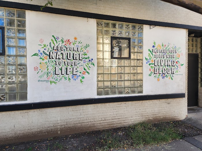 Energy Gardens Terrariums