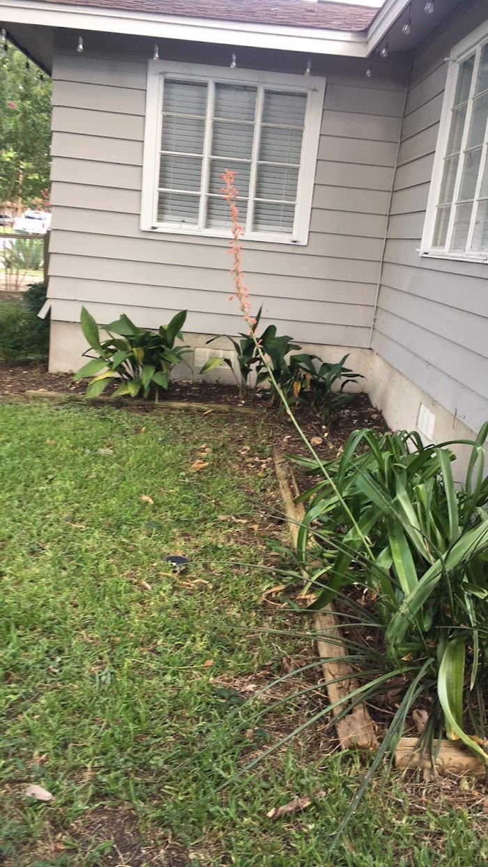 Landscaping Plus 512