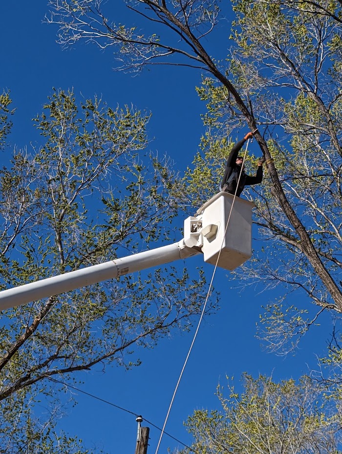 Terry’s Tree Service