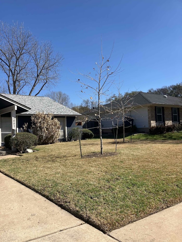 Proscape Landscaping