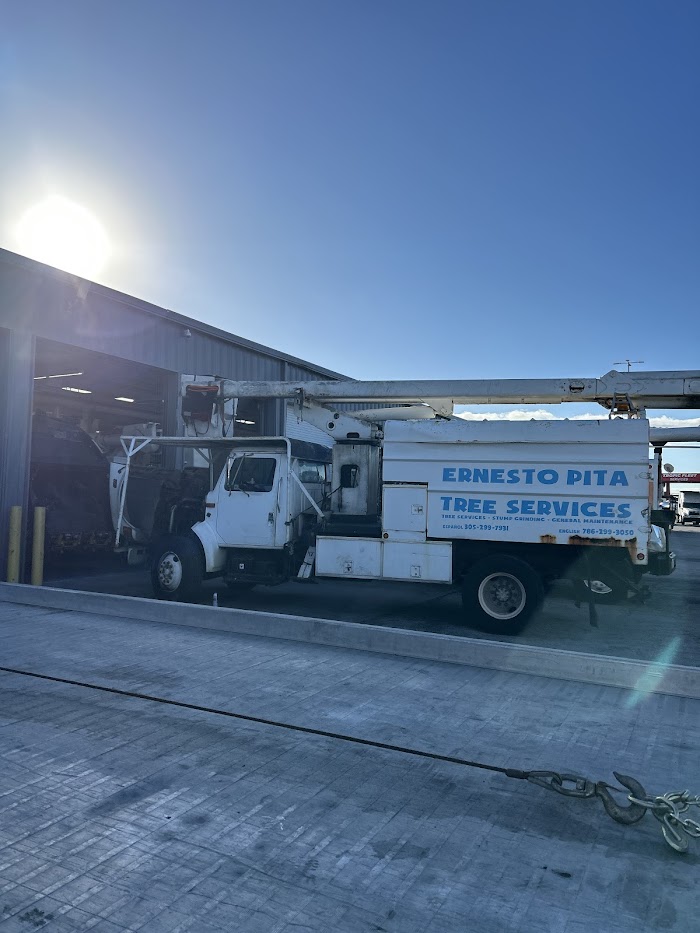 Ernesto Pita Landscaping