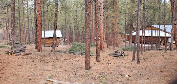 All Around Forestry LLC