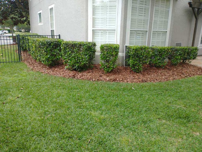 Tri-County Lawn & Landscaping Services LLC.