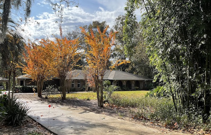The Branch Manager Tree Service