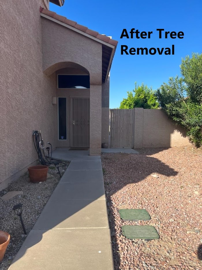 Alia’s Tree Services And Landscaping