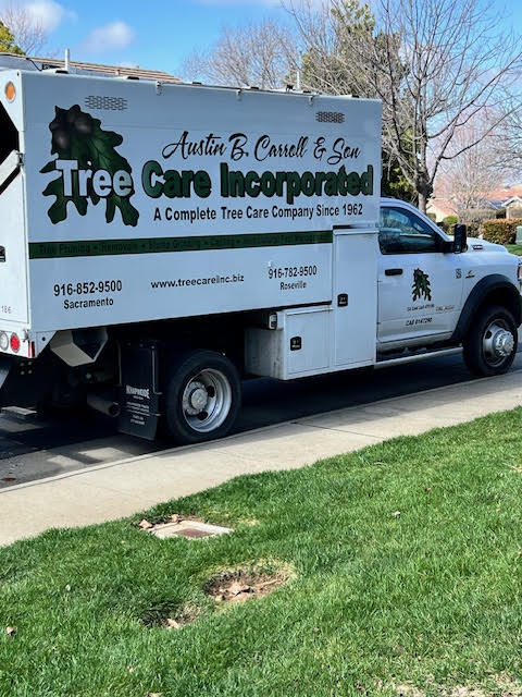 Tree Care Incorporated