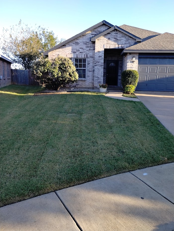 ALL IN 1 LAWN & TREE SERVICE