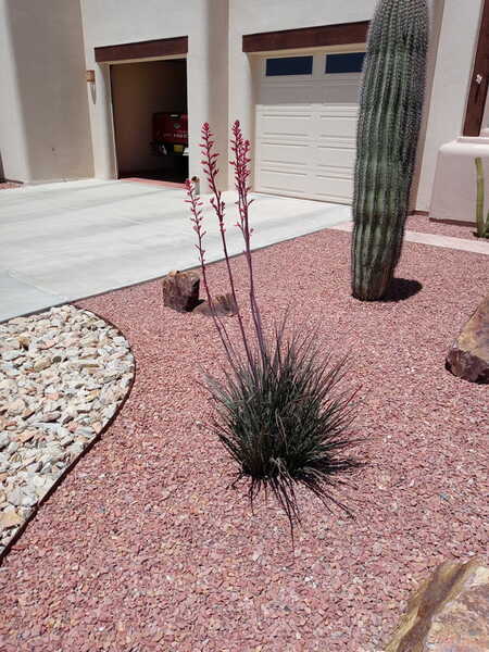 2 Guyz And A Hoe, LLC