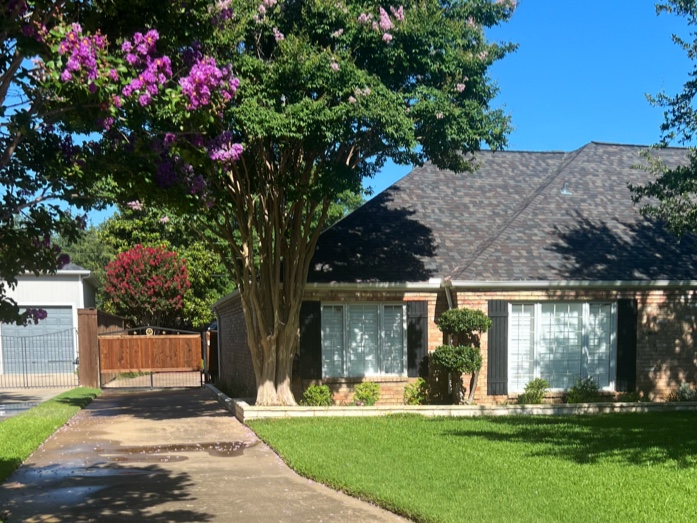 DFW Landscaping & Lawn Care