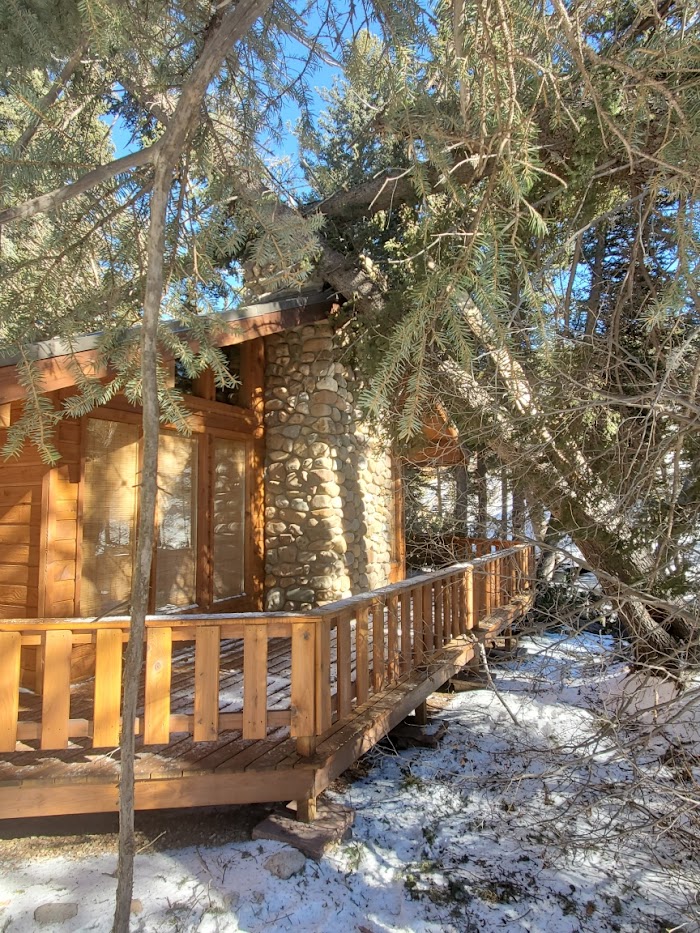 Baby Gorilla Tree Service Espanola