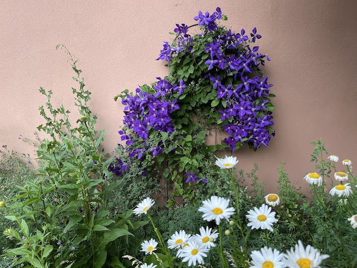 ESPALIER Garden Solutions