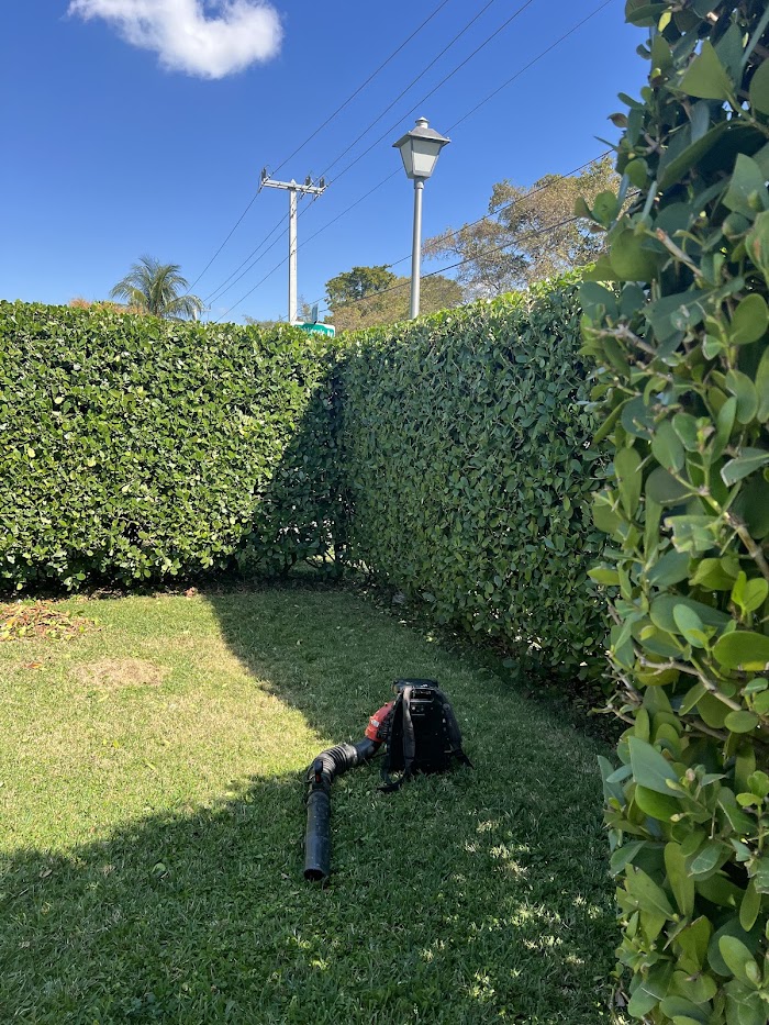 ELITE LAWN CARE & TREE SERVICE