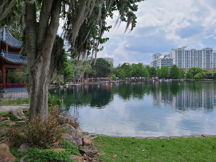 Orlando Tree Service