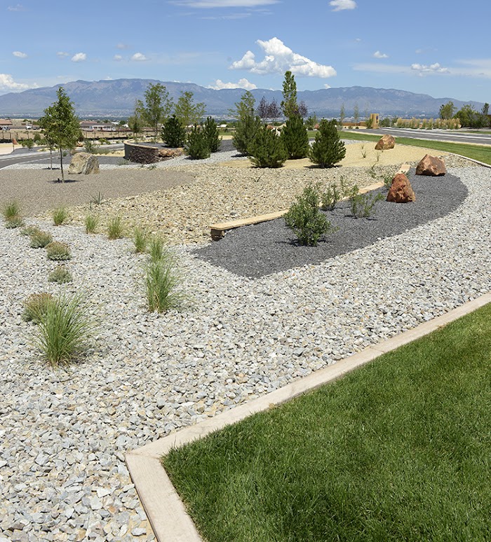 Yellowstone Landscape