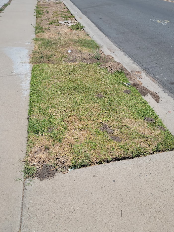 Rafael’s Landscaping Maintenance