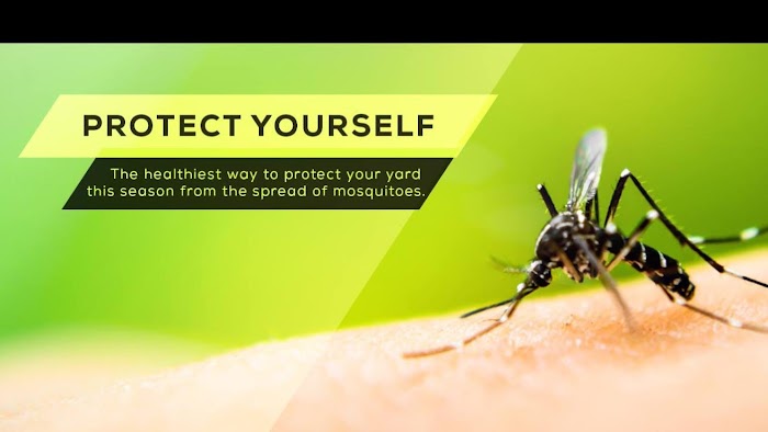 Barefoot Mosquito & Pest Control