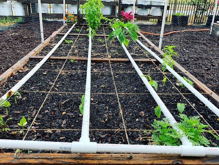 Pursuit of Destiny Productions