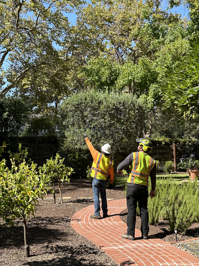 NewVista Tree Service