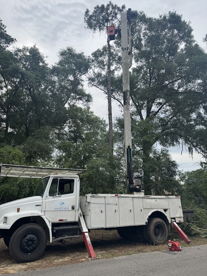 Waters Tree Service, LLC