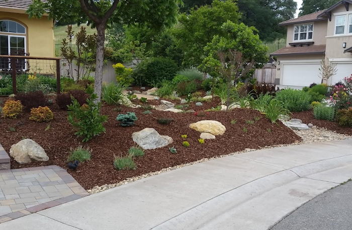 Imagine Landscapes and Design