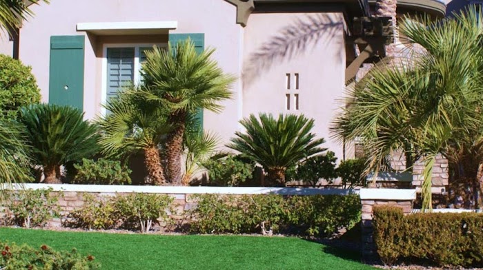 R & R Landscaping and Maintenance